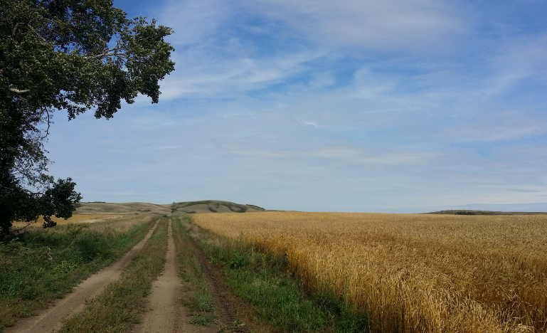 Treaty 6 Territory, Alberta