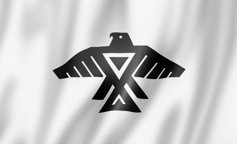 Ashinaabe flag