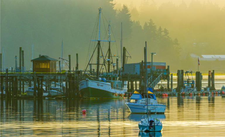 Commercial fishing