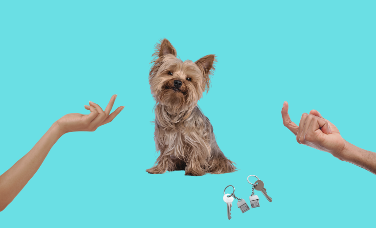 Terrier and broken family