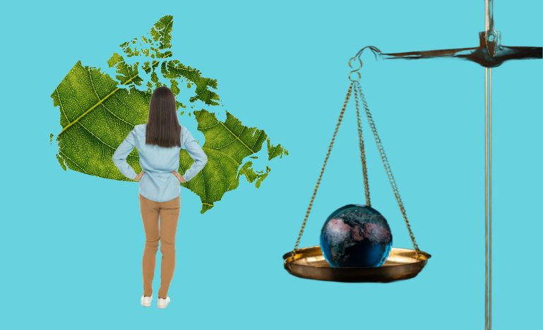 Climate litigation