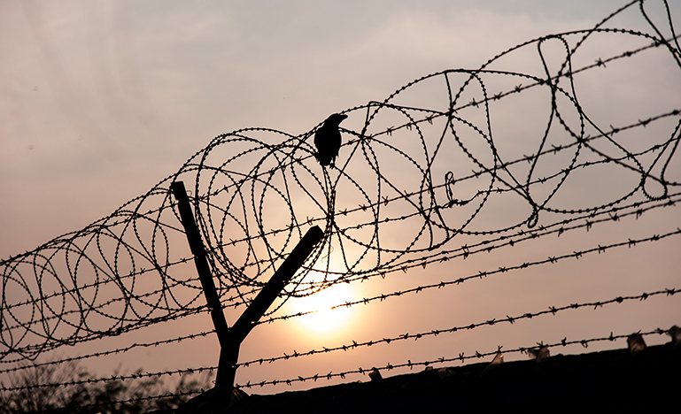 barbed wire