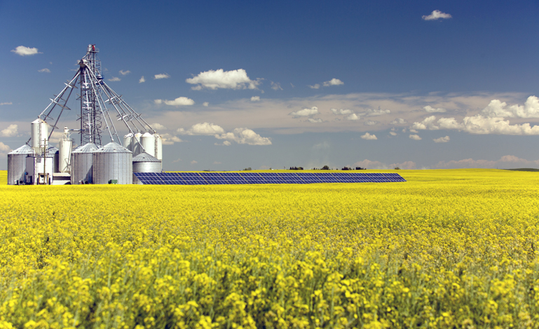 Canola Grain Silo Solar Panel