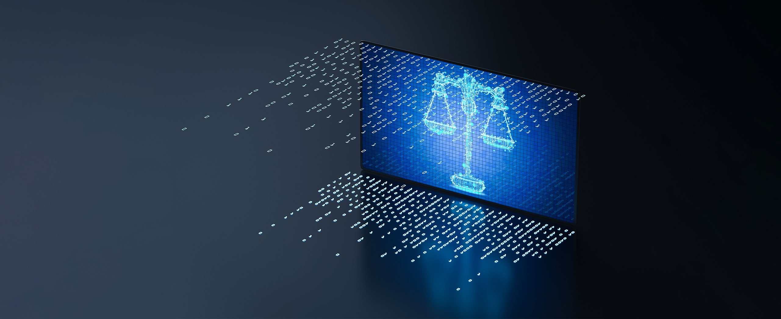 How do you cross examine an algorithm?