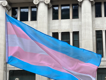 Transgender pride flag