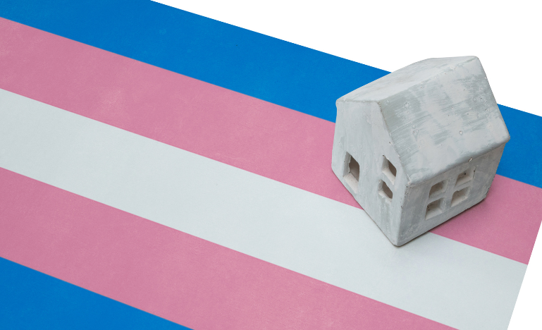 A small house on a trans flag