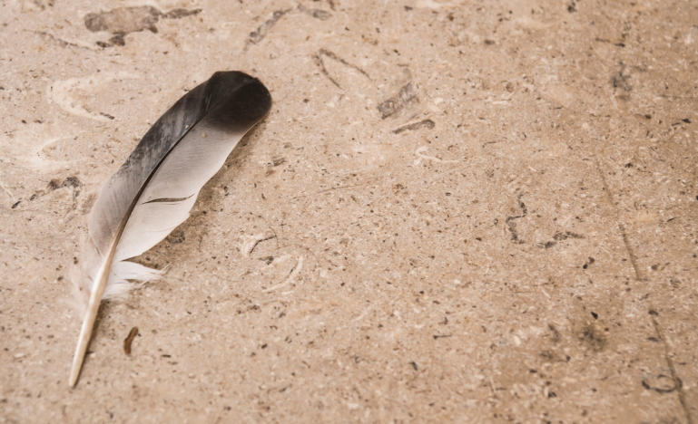Une plume sur une surface en marbre
