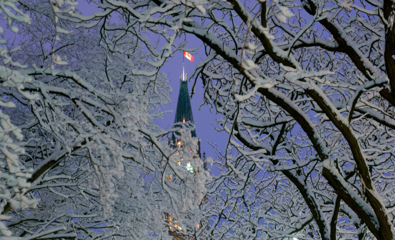 The Peace Tower surrounded by snow-covered trees