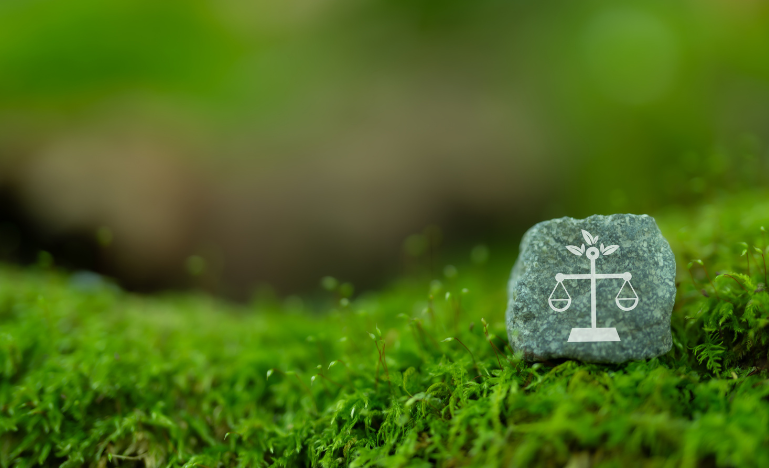 The scales of justice on a rock on grass