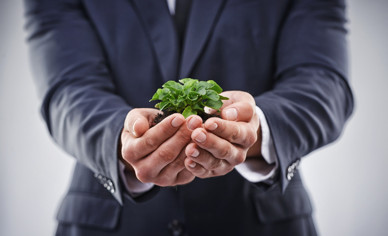 A man in a suit holds a green plant