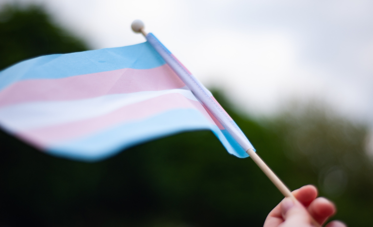A hand waves a trans flag