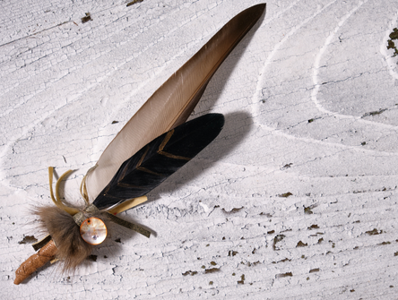 A smudging feather used in ceremonies
