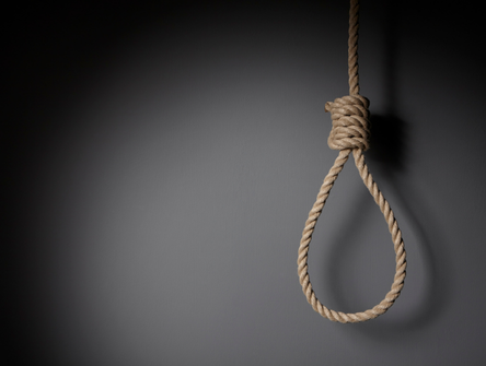 A noose hangs in front of a grey background