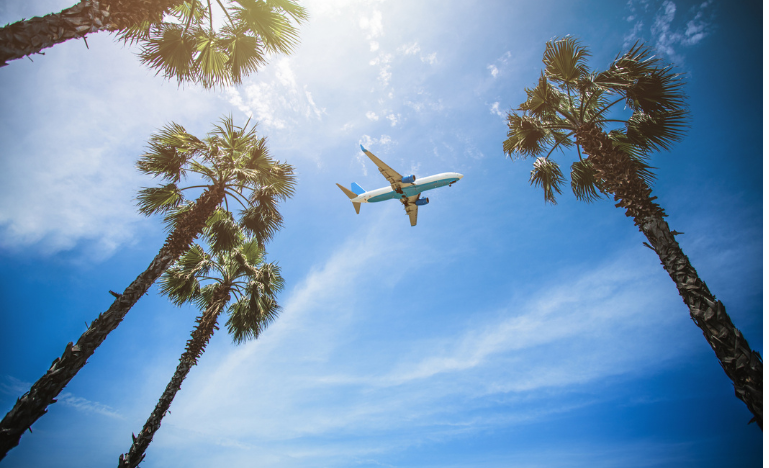 A plane flies over palm trees