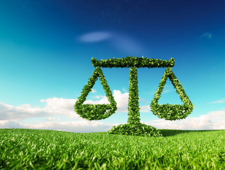 3d rendering of scale icon on fresh spring meadow with blue sky in background
