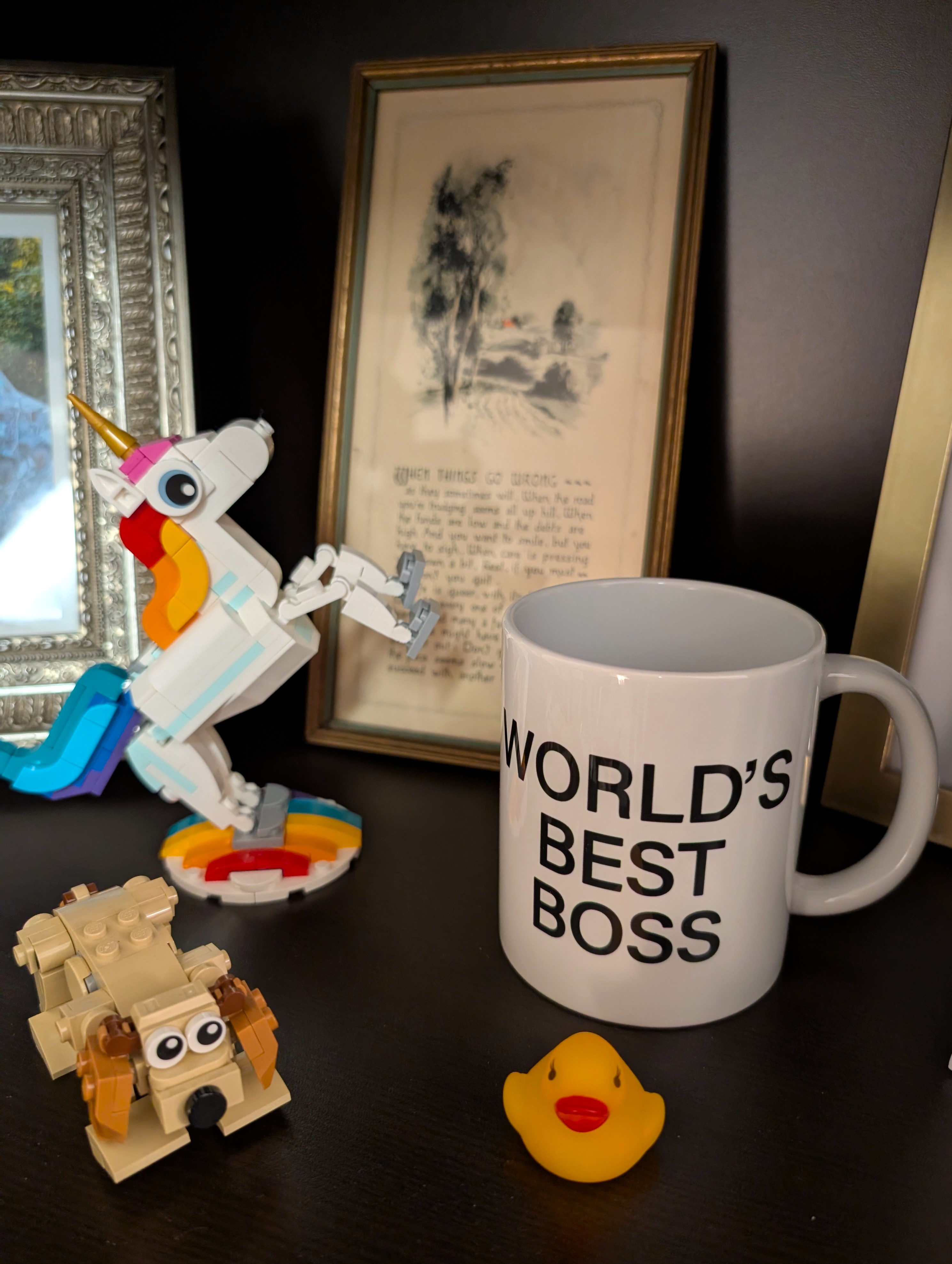bookshelf.jpg